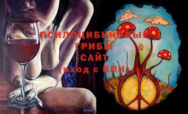 дживик Гусиноозёрск