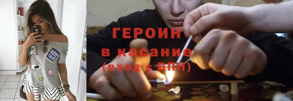 гашик Алексин