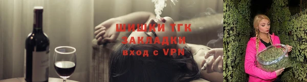 гашик Алексин