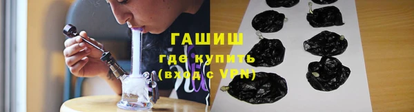 гашик Алексин