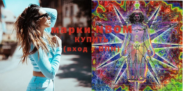 гашик Алексин