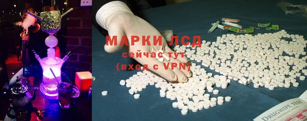 гашик Алексин
