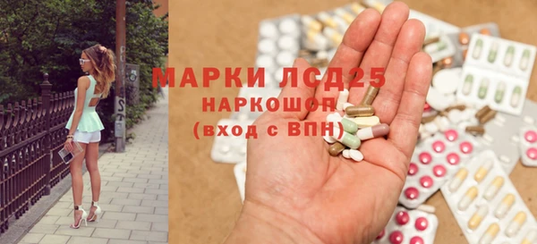 гашик Алексин
